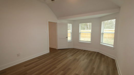 New Caney 1-story, 4-bed 17339 Silver Birch Court-idx
