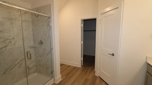 New Caney 1-story, 4-bed 17339 Silver Birch Court-idx