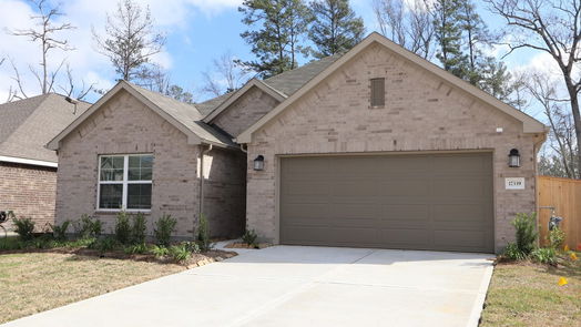 New Caney 1-story, 4-bed 17339 Silver Birch Court-idx