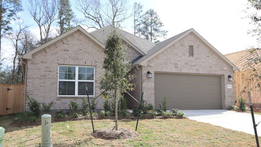 New Caney 1-story, 4-bed 17339 Silver Birch Court-idx
