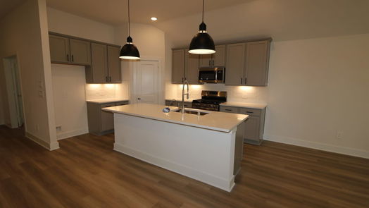 New Caney 1-story, 4-bed 17339 Silver Birch Court-idx