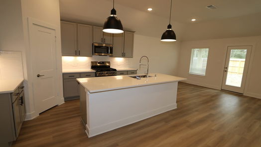 New Caney 1-story, 4-bed 17339 Silver Birch Court-idx