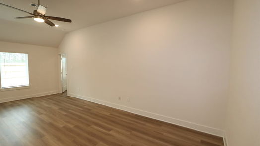 New Caney 1-story, 4-bed 17339 Silver Birch Court-idx