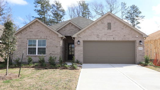 New Caney 1-story, 4-bed 17339 Silver Birch Court-idx