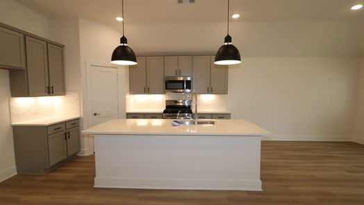 New Caney 1-story, 4-bed 17339 Silver Birch Court-idx