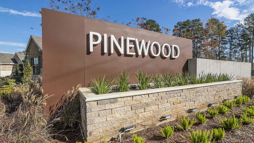 New Caney 1-story, 4-bed 17339 Silver Birch Court-idx