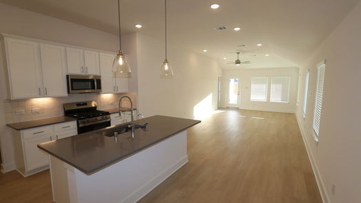 Rosenberg 1-story, 3-bed 1610 Red Oak Drive-idx