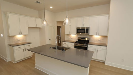 Rosenberg 1-story, 3-bed 1610 Red Oak Drive-idx