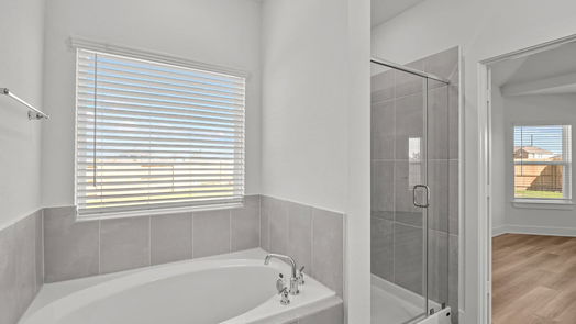 Rosenberg 2-story, 4-bed 3102 Spanish Oak Lane-idx