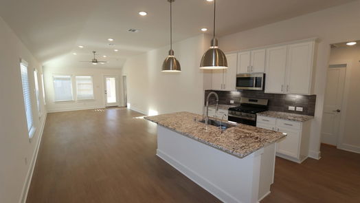 Rosenberg 1-story, 3-bed 1610 Blue Cypress Drive-idx