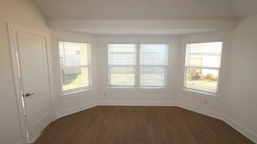 Rosenberg 1-story, 3-bed 1610 Blue Cypress Drive-idx