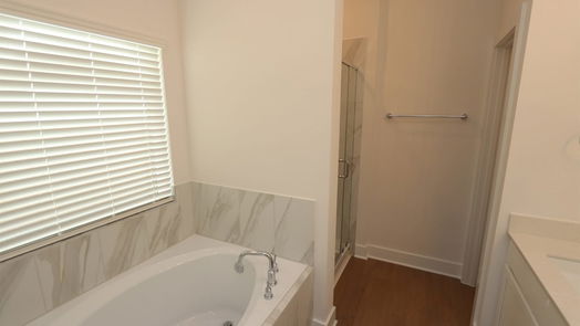Rosenberg 1-story, 3-bed 1610 Blue Cypress Drive-idx