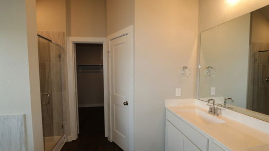 Tomball 1-story, 4-bed 21807 Burgos Plaza Drive-idx