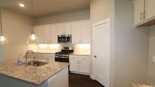 Tomball 1-story, 4-bed 21807 Burgos Plaza Drive-idx