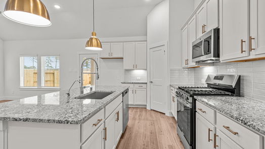 Tomball 1-story, 5-bed 21710 Burgos Plaza Drive-idx