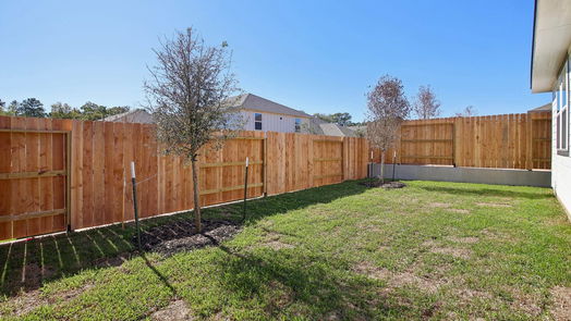 Conroe 1-story, 3-bed 1737 Cayden Oak Lane-idx