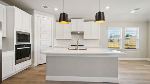 Conroe 1-story, 4-bed 6804 Velvet Oak Court-idx