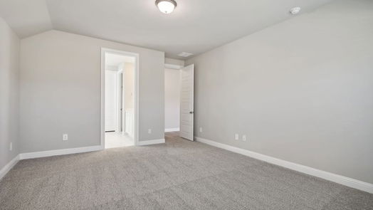 Conroe 1-story, 4-bed 6804 Velvet Oak Court-idx