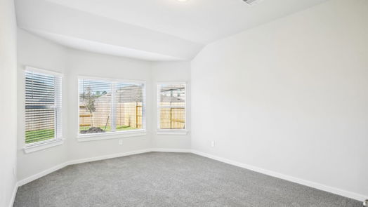 Conroe 2-story, 4-bed 1418 Waggoner Ranch Trail-idx