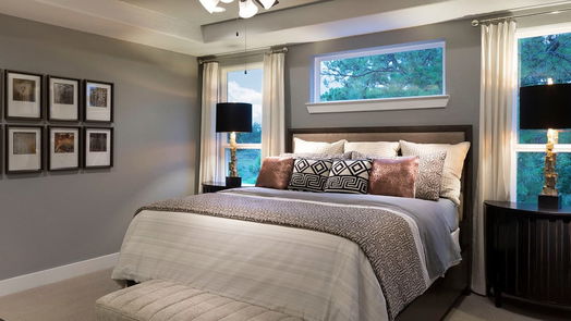 Houston 2-story, 4-bed 4204 Colony Pines Lane-idx