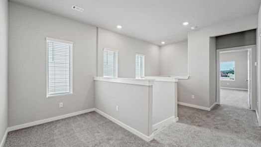 Houston 2-story, 3-bed 1506 Red Acer Drive-idx