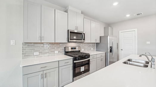Houston 2-story, 3-bed 1506 Red Acer Drive-idx