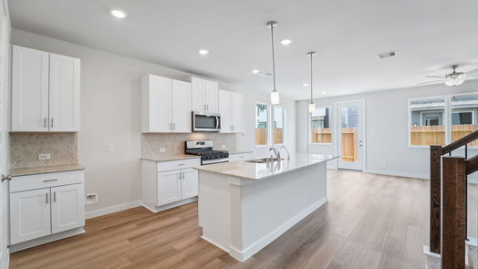 Houston 2-story, 3-bed 1523 Red Acer Drive-idx