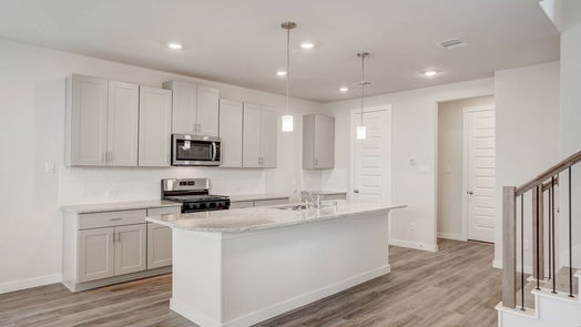 Houston 2-story, 3-bed 1520 Red Acer Drive-idx