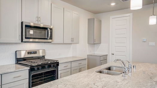 Houston 2-story, 3-bed 1520 Red Acer Drive-idx