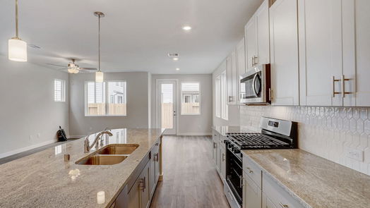 Houston 2-story, 3-bed 1520 Red Acer Drive-idx