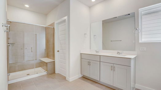 Houston 2-story, 3-bed 1520 Red Acer Drive-idx