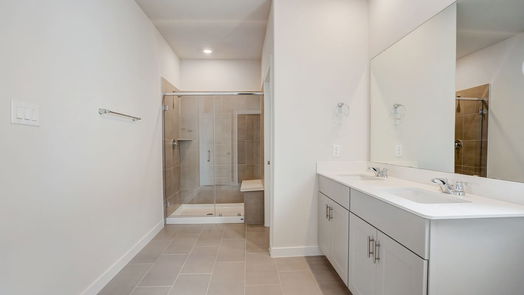 Houston 2-story, 3-bed 1520 Red Acer Drive-idx