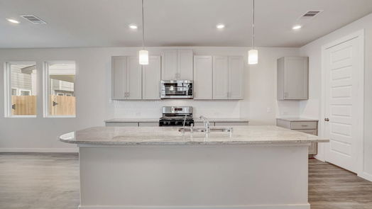 Houston 2-story, 3-bed 1520 Red Acer Drive-idx