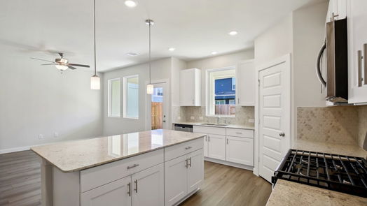Houston 2-story, 4-bed 1516 Red Acer Drive-idx