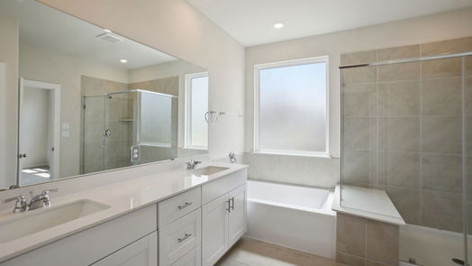 Houston 2-story, 3-bed 1522 Red Acer Drive-idx