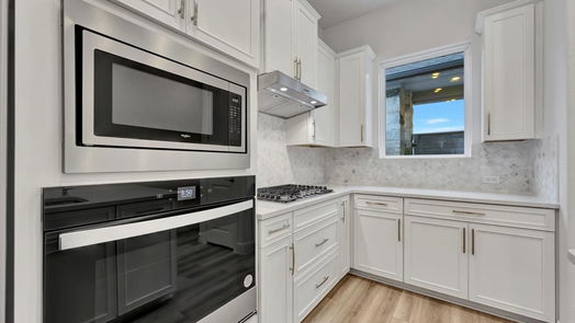 Houston 2-story, 4-bed 10016 Cloud Mist Drive-idx