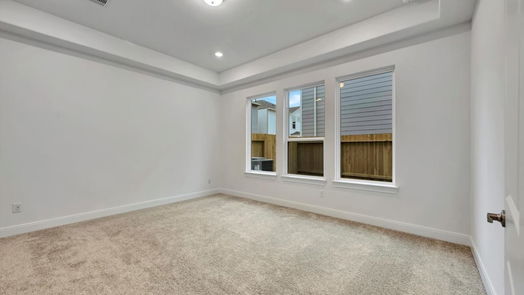 Houston 2-story, 4-bed 10016 Cloud Mist Drive-idx