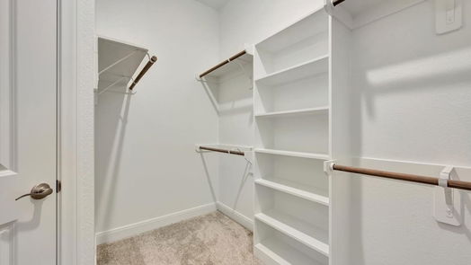 Houston 2-story, 4-bed 10016 Cloud Mist Drive-idx