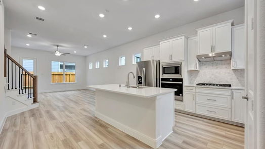 Houston 2-story, 4-bed 10016 Cloud Mist Drive-idx