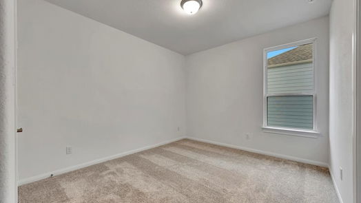 Houston 2-story, 4-bed 10016 Cloud Mist Drive-idx