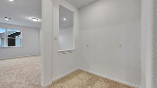 Houston 2-story, 4-bed 10016 Cloud Mist Drive-idx