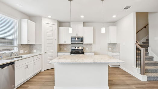 Houston 2-story, 3-bed 4207 Good Vineyard Lane-idx