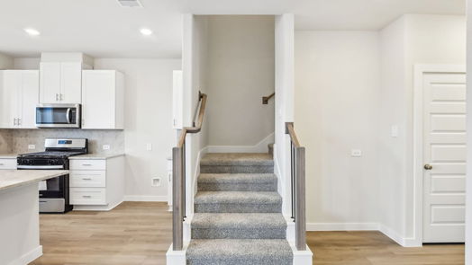 Houston 2-story, 3-bed 4207 Good Vineyard Lane-idx