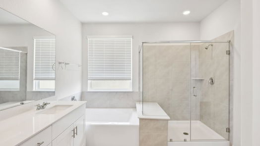 Houston 2-story, 3-bed 4207 Good Vineyard Lane-idx