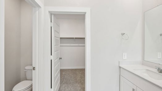 Houston 2-story, 3-bed 4207 Good Vineyard Lane-idx