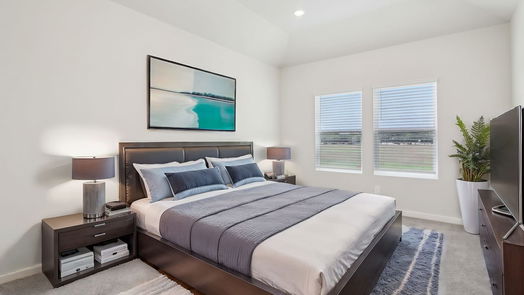 Houston 2-story, 3-bed 4209 Good Vineyard Lane-idx