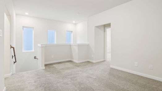 Houston 2-story, 3-bed 4209 Good Vineyard Lane-idx