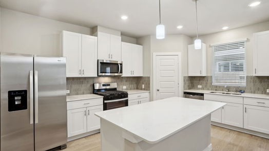 Houston 2-story, 4-bed 1507 Blue Acer Drive-idx