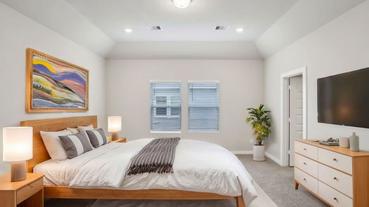 Houston 2-story, 4-bed 1507 Blue Acer Drive-idx