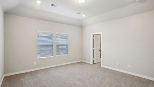Houston 2-story, 4-bed 1507 Blue Acer Drive-idx